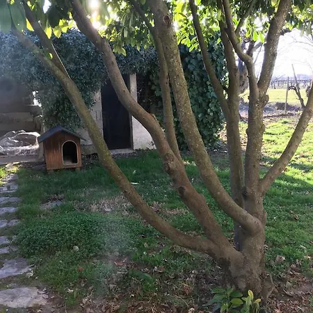 Casa Lia *